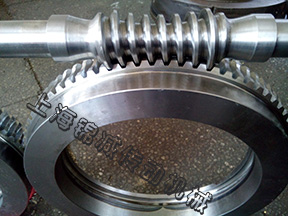 數(shù)控回轉(zhuǎn)工作臺(tái)用平面包絡(luò)環(huán)面蝸桿蝸輪