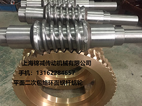 訂做平面二次包絡環(huán)面蝸桿蝸輪